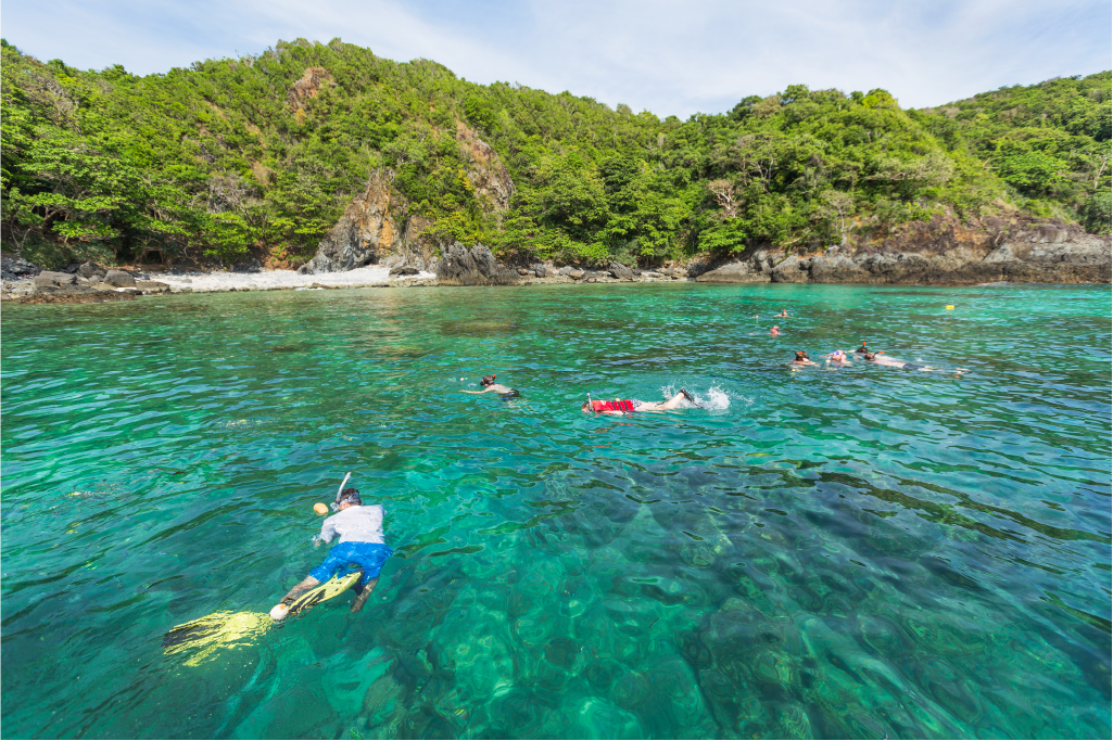 Explore Phuket’s exotic marine life